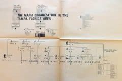 Mafia-organization